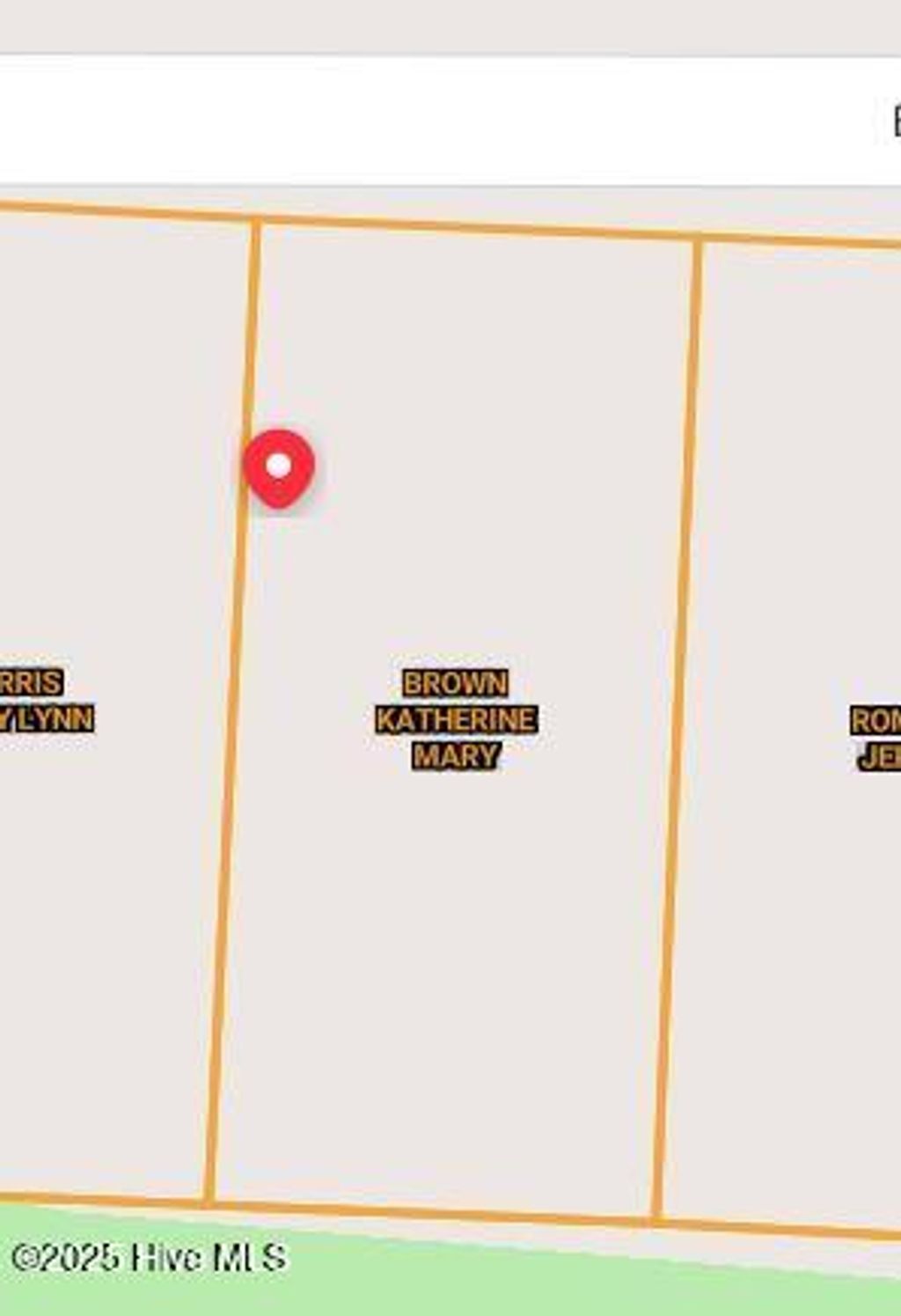 Photo of 532 Bald Eagle Drive, Vass, NC 28394 (MLS # 100540383)