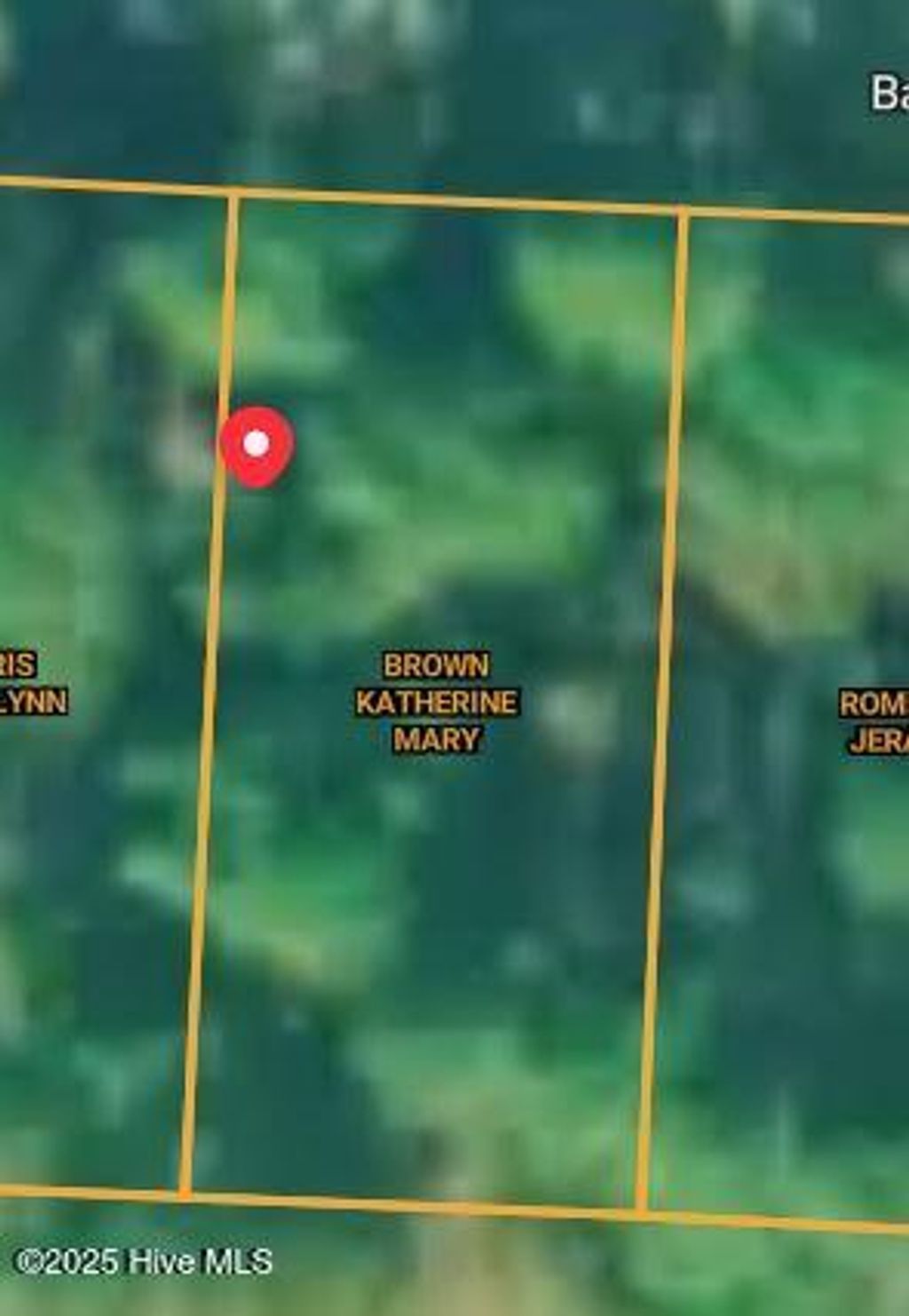 Photo of 532 Bald Eagle Drive, Vass, NC 28394 (MLS # 100540383)