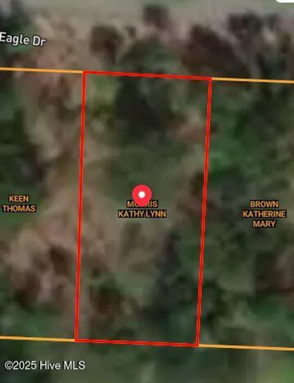 Photo of 532 Bald Eagle Drive, Vass, NC 28394 (MLS # 100540383)