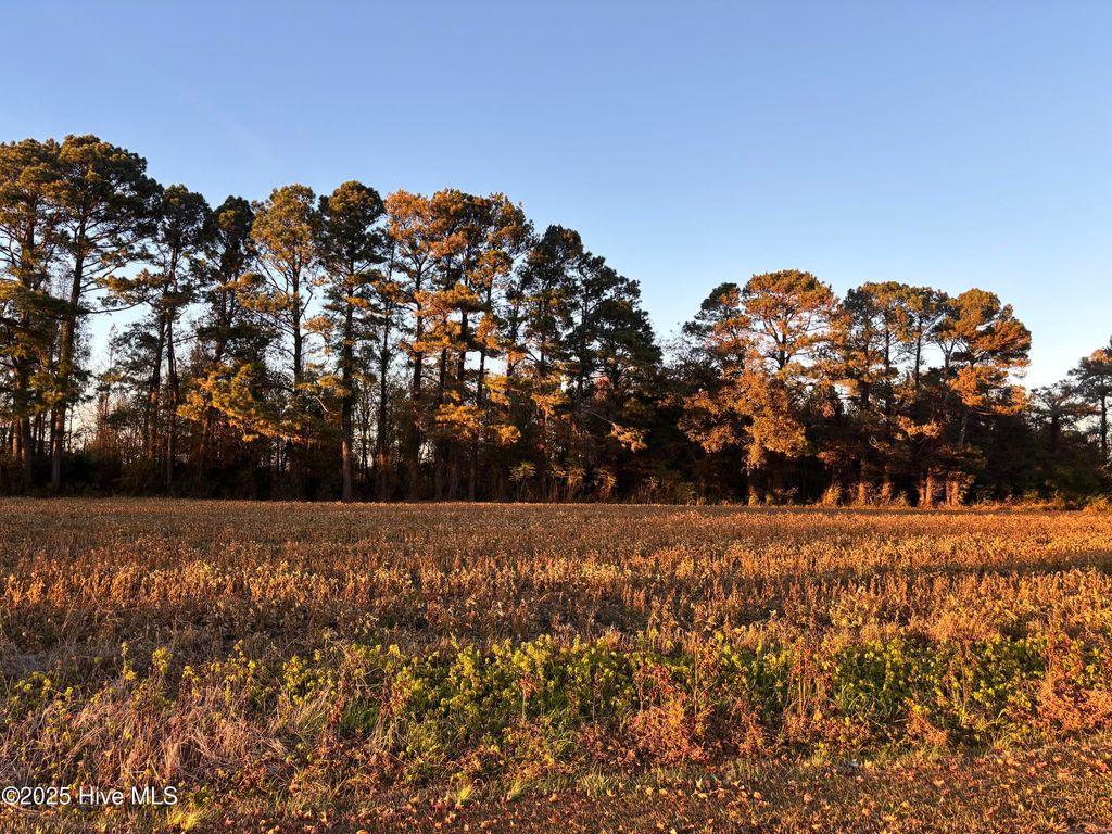 Photo of 1 Bradshaw Road, Clinton, NC 28328 (MLS # 100541784)