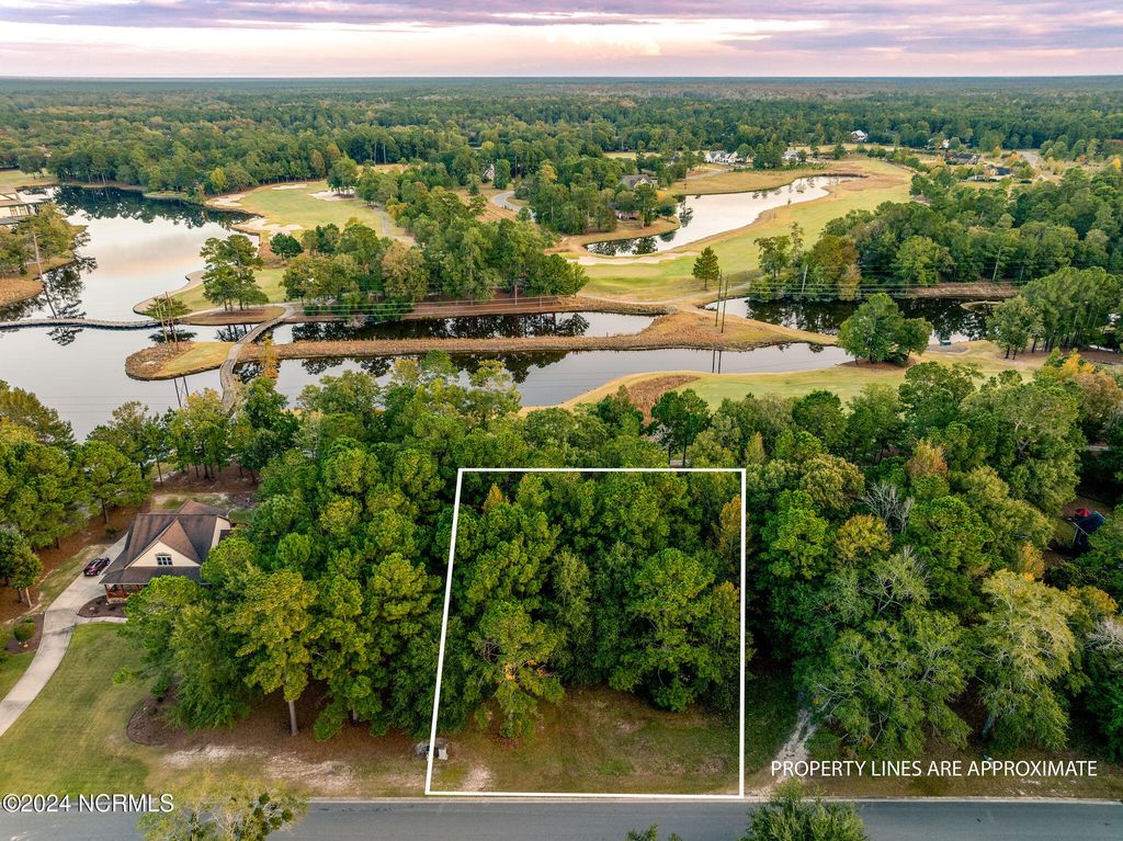 Photo of 123 October Glory Drive, Wallace, NC 28466 (MLS # 100472930)