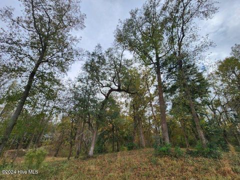 Tiny photo for 871 Chair Road, Castle Hayne, NC 28429 (MLS # 100475912)