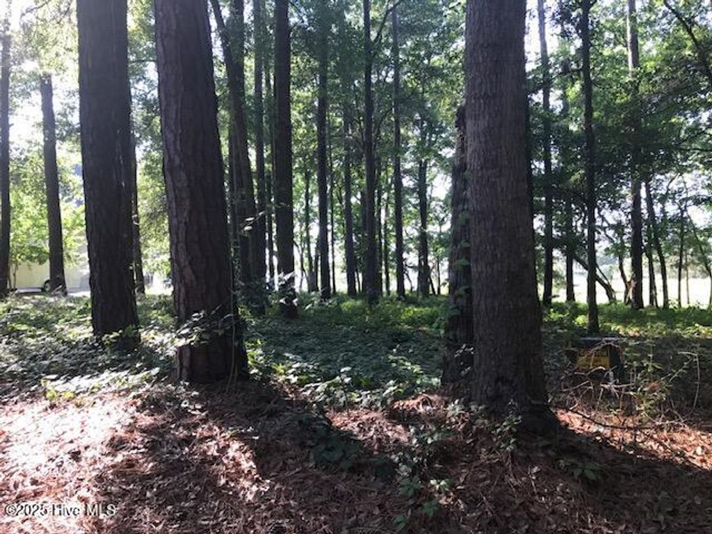 Photo of 3247 Mullet Creek Place SE, Bolivia, NC 28422 (MLS # 100507276)