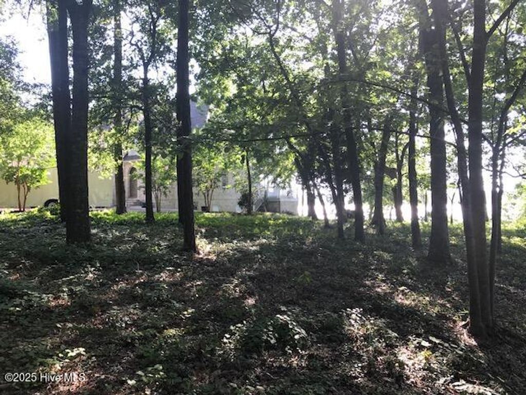 Photo of 3247 Mullet Creek Place SE, Bolivia, NC 28422 (MLS # 100507276)