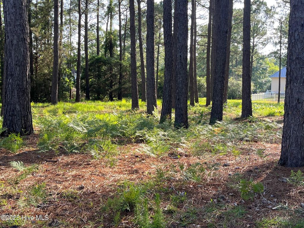Photo of 3518 Scupper Run SE, Southport, NC 28461 (MLS # 100510480)