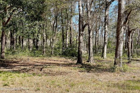Tiny photo for 3570 Sasser Lane SW, Supply, NC 28462 (MLS # 100535126)