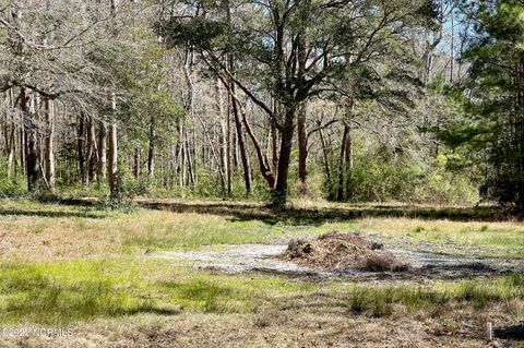 Tiny photo for 3570 Sasser Lane SW, Supply, NC 28462 (MLS # 100535126)