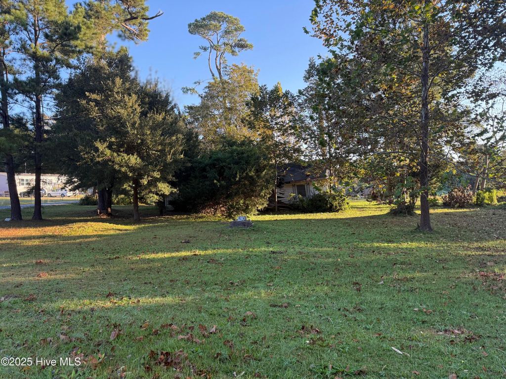 Photo of 430 John Everett Road, Sneads Ferry, NC 28460 (MLS # 100538228)
