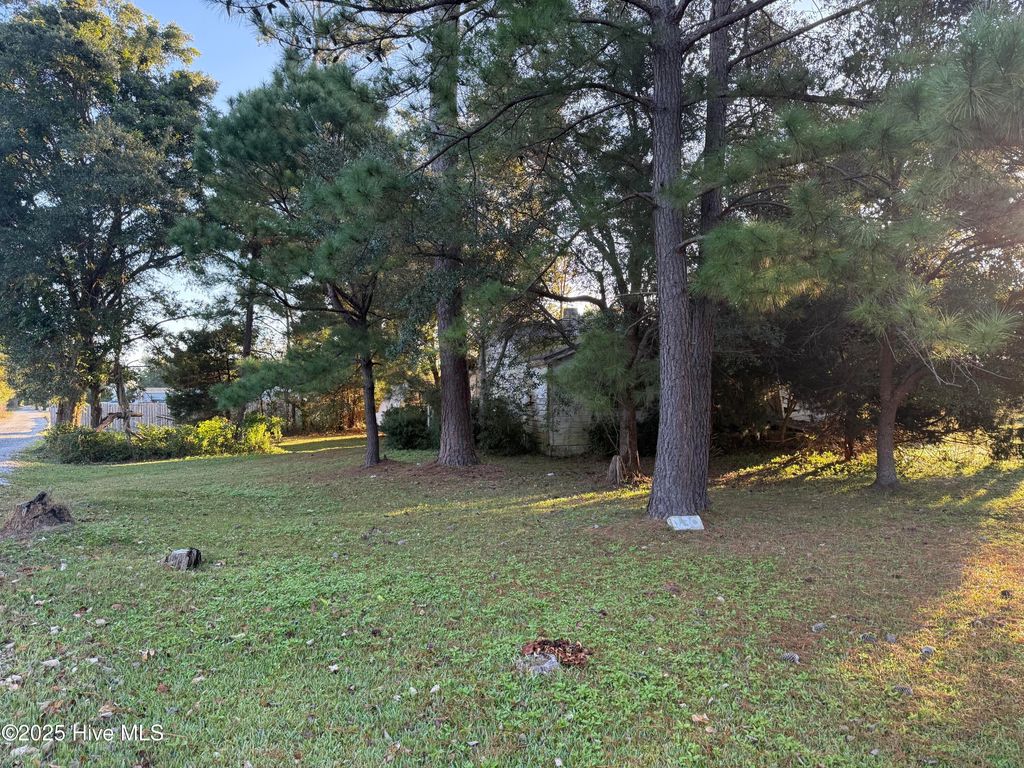 Photo of 430 John Everett Road, Sneads Ferry, NC 28460 (MLS # 100538228)