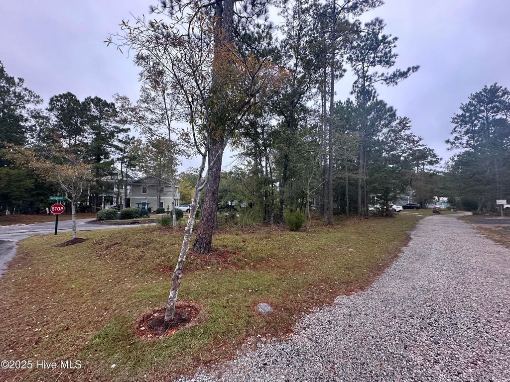 Photo of 5353 Nolen Street, Shallotte, NC 28470 (MLS # 100538523)