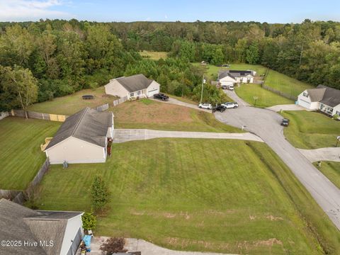 Tiny photo for 309 Otter Creek Court, Richlands, NC 28574 (MLS # 100535453)