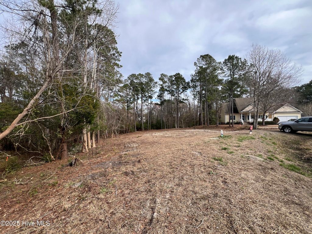 Photo of 125 River Reach Drive W, Swansboro, NC 28584 (MLS # 100489830)