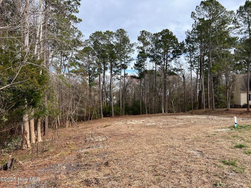 Photo of 125 River Reach Drive W, Swansboro, NC 28584 (MLS # 100489830)
