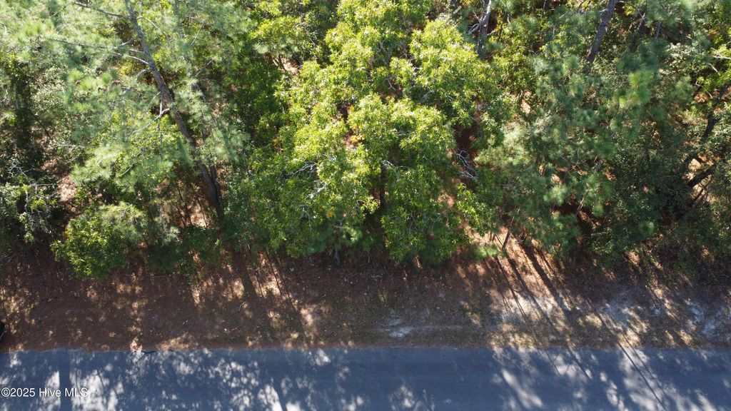 Photo of 47 Ward Drive, Dudley, NC 28333 (MLS # 100537976)