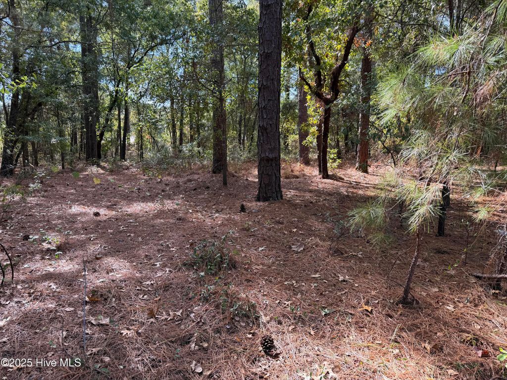 Photo of 47 Ward Drive, Dudley, NC 28333 (MLS # 100537976)