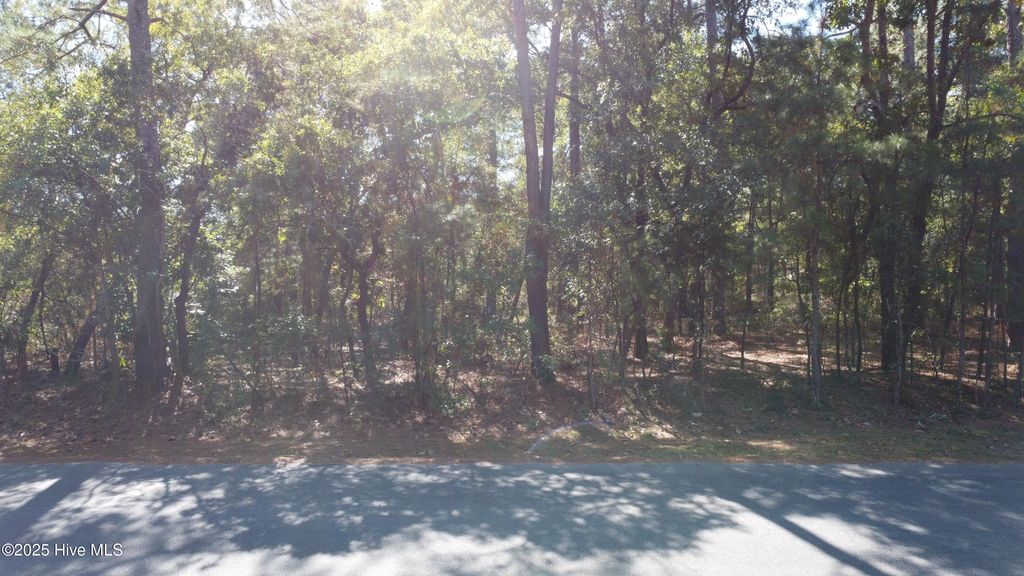 Photo of 47 Ward Drive, Dudley, NC 28333 (MLS # 100537976)