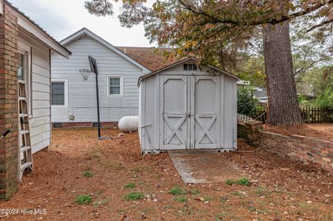 A home in Mount Olive