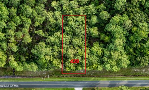 Tiny photo for 428 Chadwick Acres Road, Sneads Ferry, NC 28460 (MLS # 100530061)