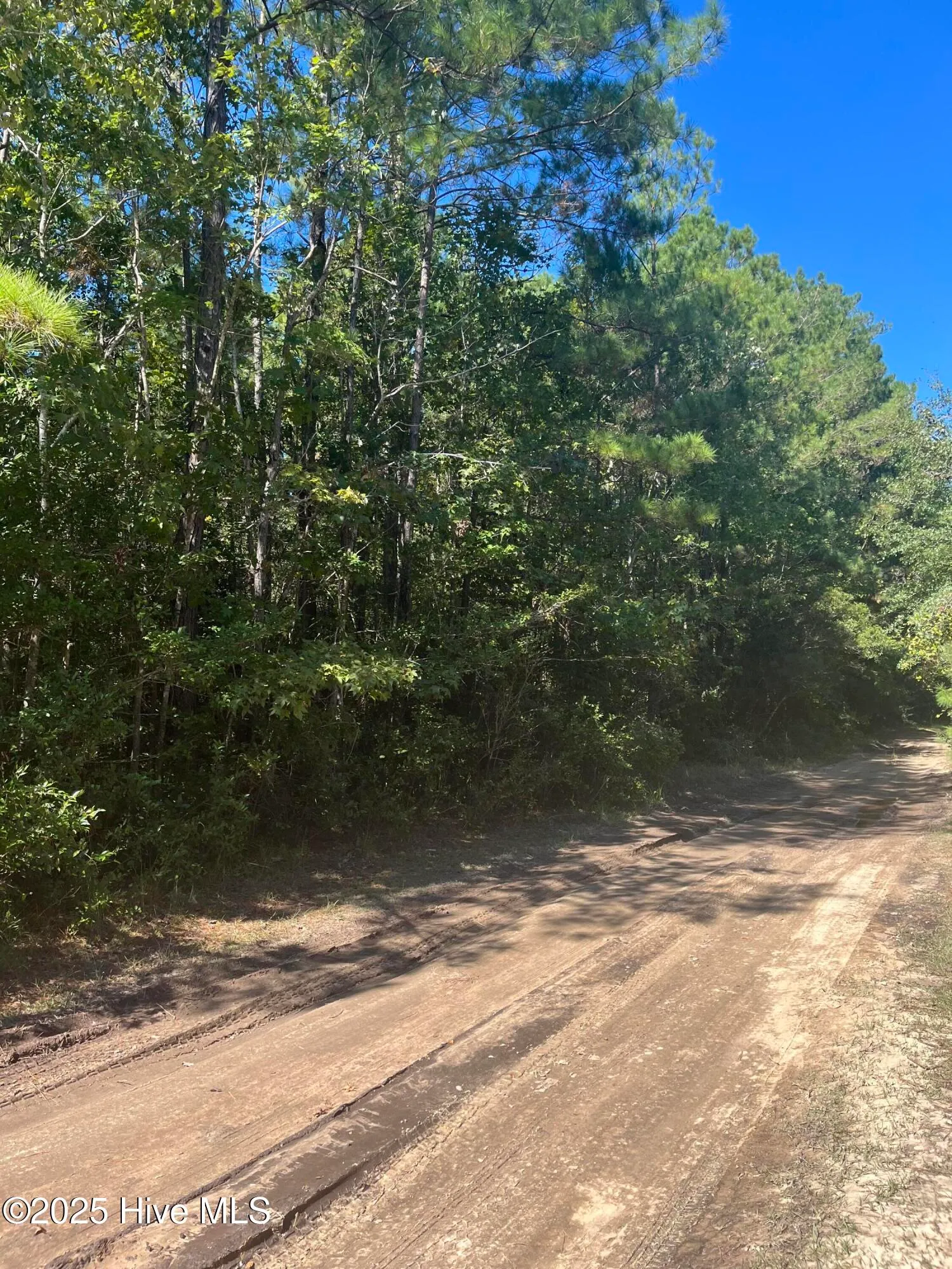 Supply, North Carolina 28462, United States, ,Land,Active,233767