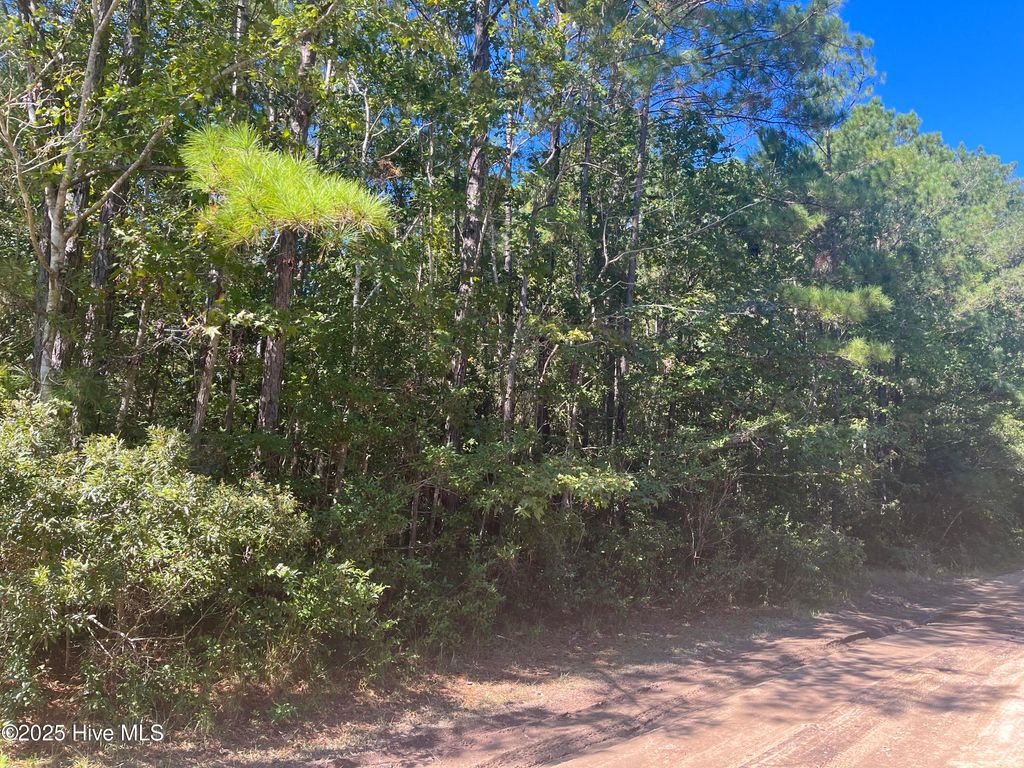 Photo of 1350 Egret Drive SW, Supply, NC 28462 (MLS # 100536600)