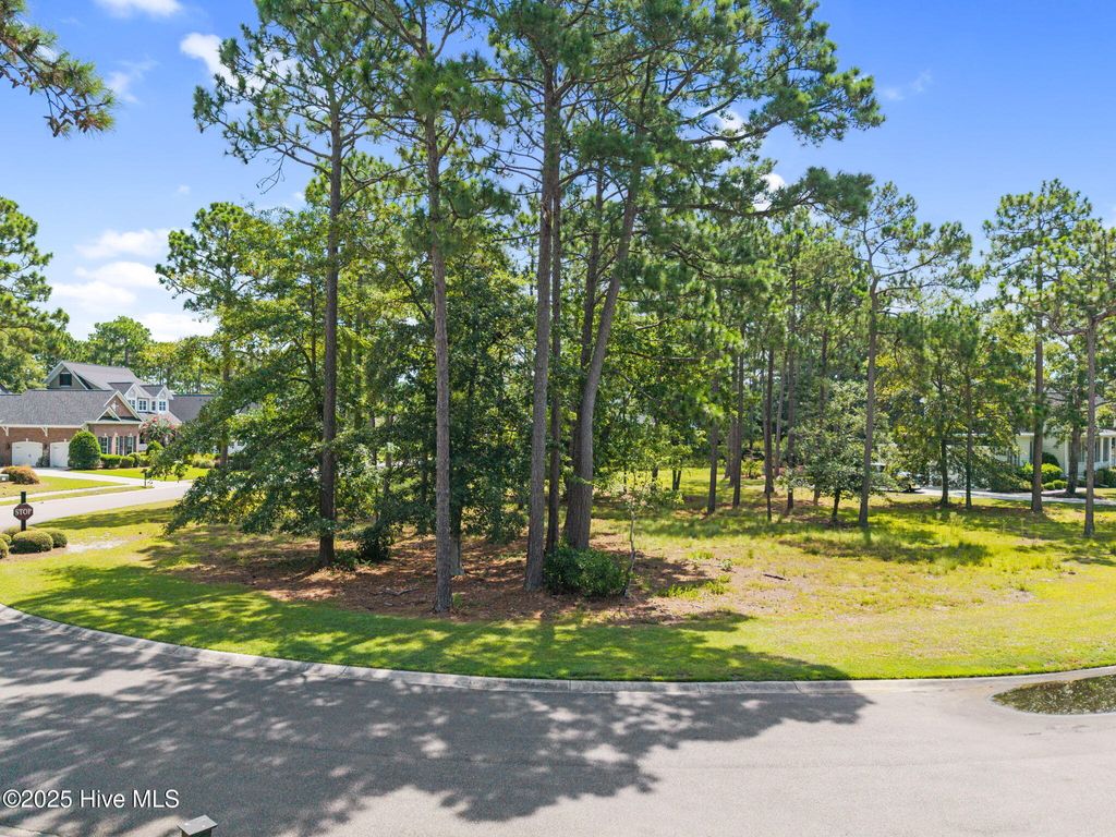 Photo of 484 Emerald Valley Drive, Shallotte, NC 28470 (MLS # 100521127)
