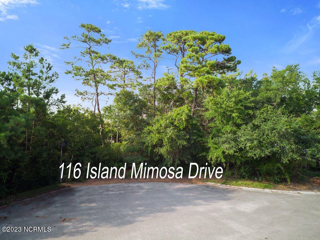Photo of 116 Island Mimosa Drive, Carolina Beach, NC 28428 (MLS # 100497145)