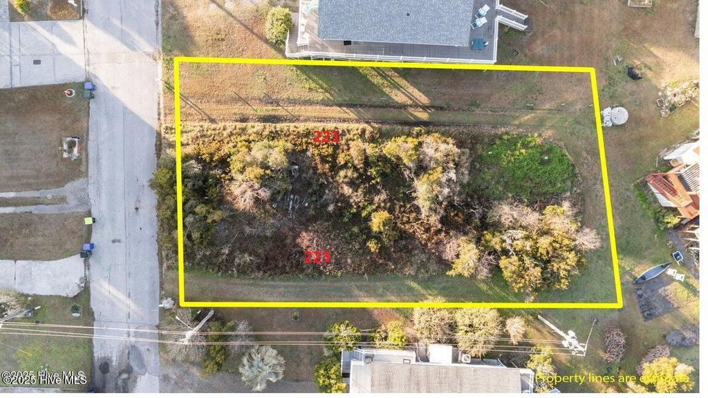 Photo of 221 Coastal Drive, North Topsail Beach, NC 28460 (MLS # 100494532)