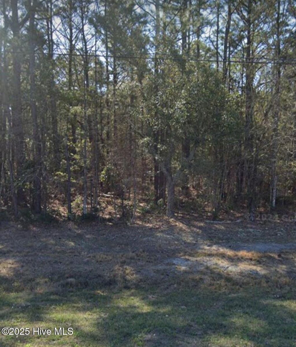 Photo of 24480 Us Highway 17, Hampstead, NC 28443 (MLS # 100485708)