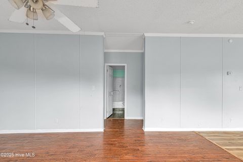 Tiny photo for 137 Corena Avenue, Maysville, NC 28555 (MLS # 100535567)
