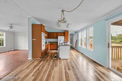 Tiny photo for 137 Corena Avenue, Maysville, NC 28555 (MLS # 100535567)