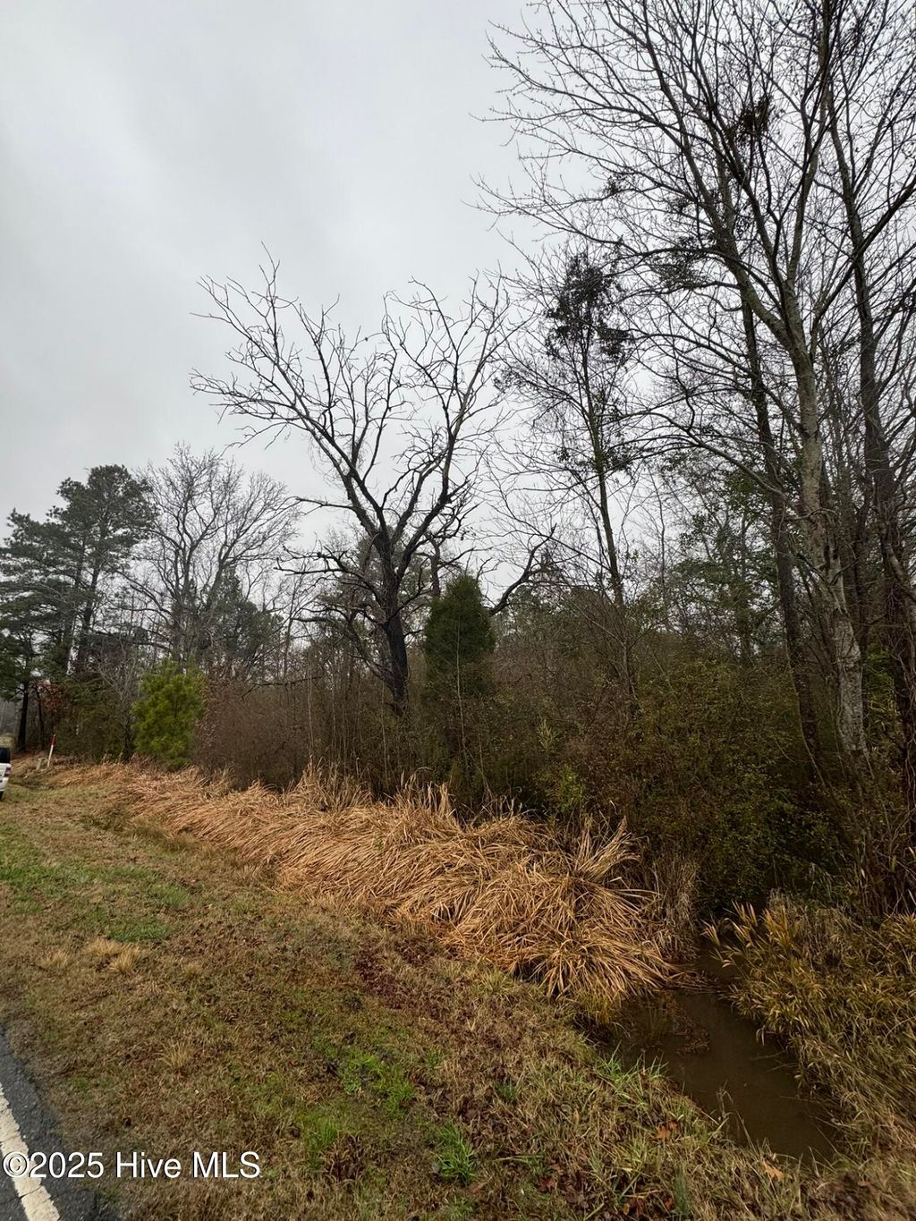 Photo of 894 Swamp Road, Pantego, NC 27860 (MLS # 100540132)