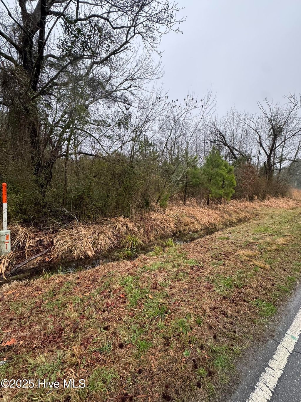 Photo of 894 Swamp Road, Pantego, NC 27860 (MLS # 100540132)