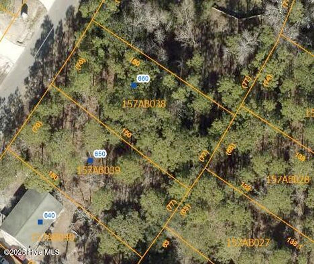 Photo of 650660 Prospect Road, Boiling Spring Lakes, NC 28461 (MLS # 100540820)