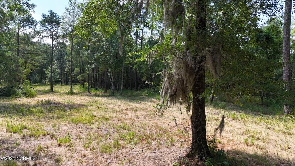 Photo of 283 Garbacon Drive, Beaufort, NC 28516 (MLS # 100451696)