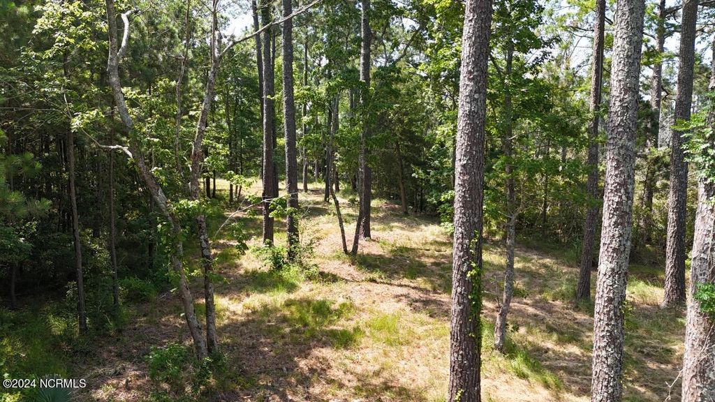 Photo of 283 Garbacon Drive, Beaufort, NC 28516 (MLS # 100451696)