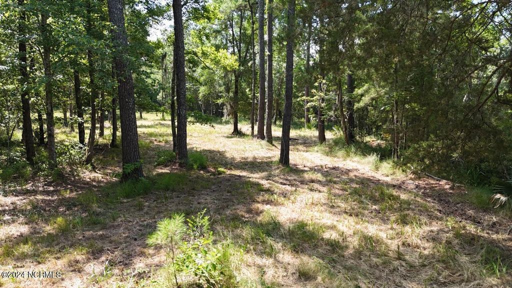 Photo of 283 Garbacon Drive, Beaufort, NC 28516 (MLS # 100451696)