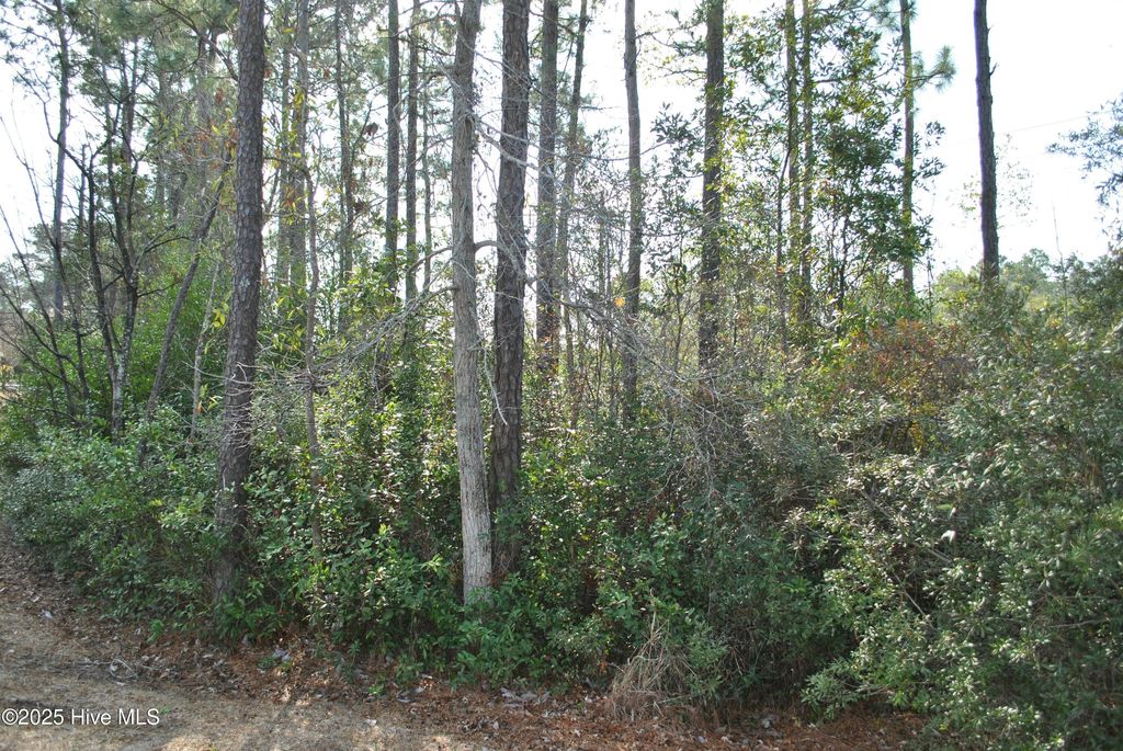 listing image 26