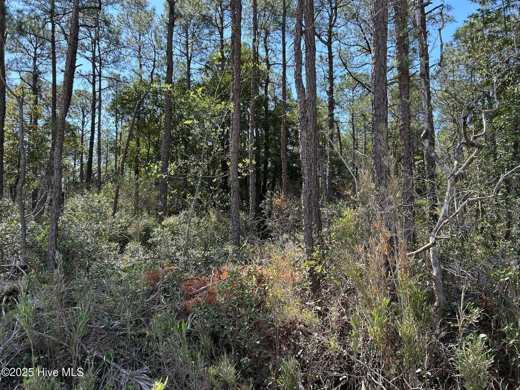 Photo of 7580 Plantation Road, Wilmington, NC 28405 (MLS # 100511456)