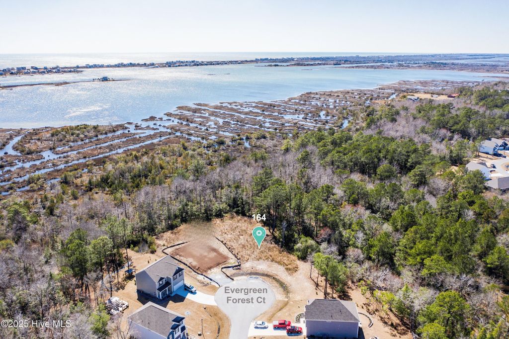 Photo of 164 Evergreen Forest Court, Sneads Ferry, NC 28460 (MLS # 100523712)