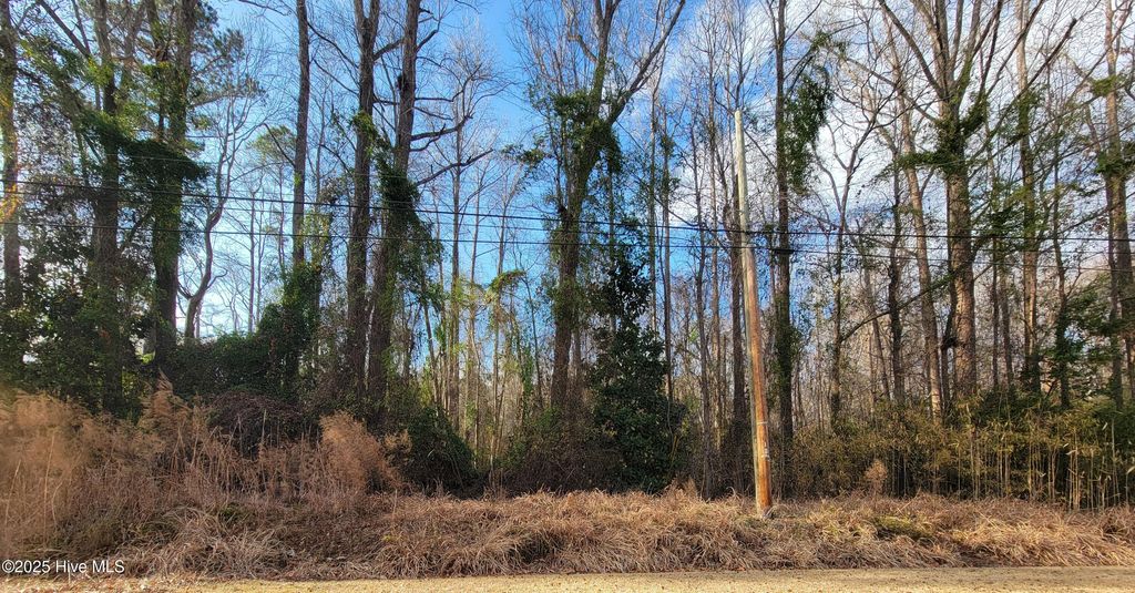 Photo of 0 Niblick Road, Grifton, NC 28530 (MLS # 100494753)
