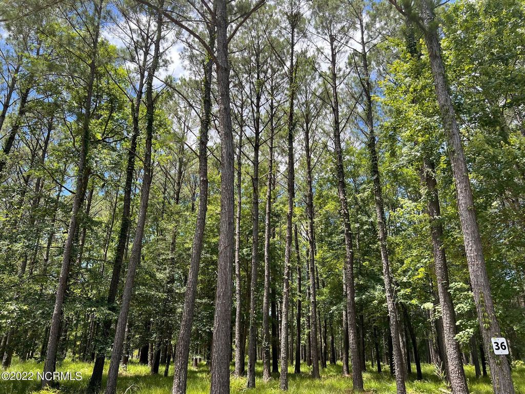 Photo of 208 Madison Avenue, Oriental, NC 28571 (MLS # 100488048)