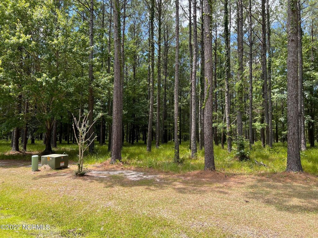 Photo of 208 Madison Avenue, Oriental, NC 28571 (MLS # 100488048)