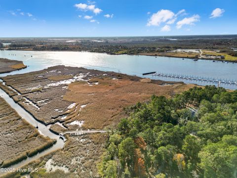 Tiny photo for 344 Preservation Point Avenue, Wilmington, NC 28401 (MLS # 100542431)