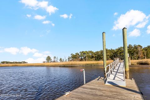 Tiny photo for 344 Preservation Point Avenue, Wilmington, NC 28401 (MLS # 100542431)