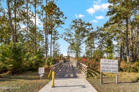 Tiny photo for 344 Preservation Point Avenue, Wilmington, NC 28401 (MLS # 100542431)