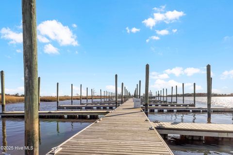 Tiny photo for 344 Preservation Point Avenue, Wilmington, NC 28401 (MLS # 100542431)