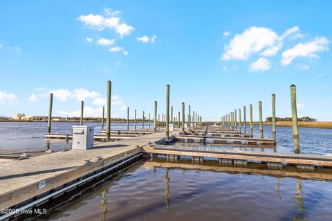 Tiny photo for 344 Preservation Point Avenue, Wilmington, NC 28401 (MLS # 100542431)