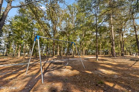 Tiny photo for 344 Preservation Point Avenue, Wilmington, NC 28401 (MLS # 100542431)