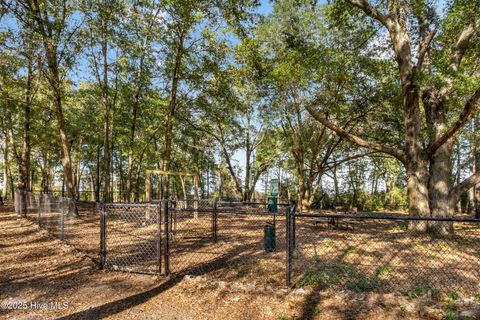 Tiny photo for 344 Preservation Point Avenue, Wilmington, NC 28401 (MLS # 100542431)