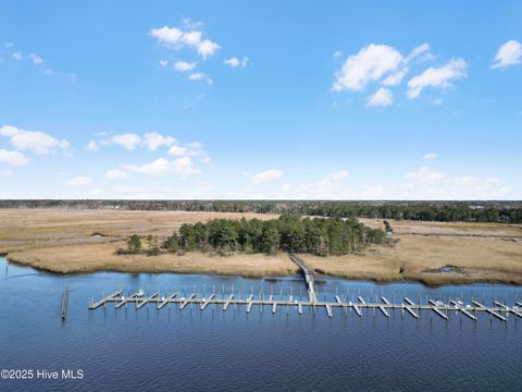 Tiny photo for 344 Preservation Point Avenue, Wilmington, NC 28401 (MLS # 100542431)